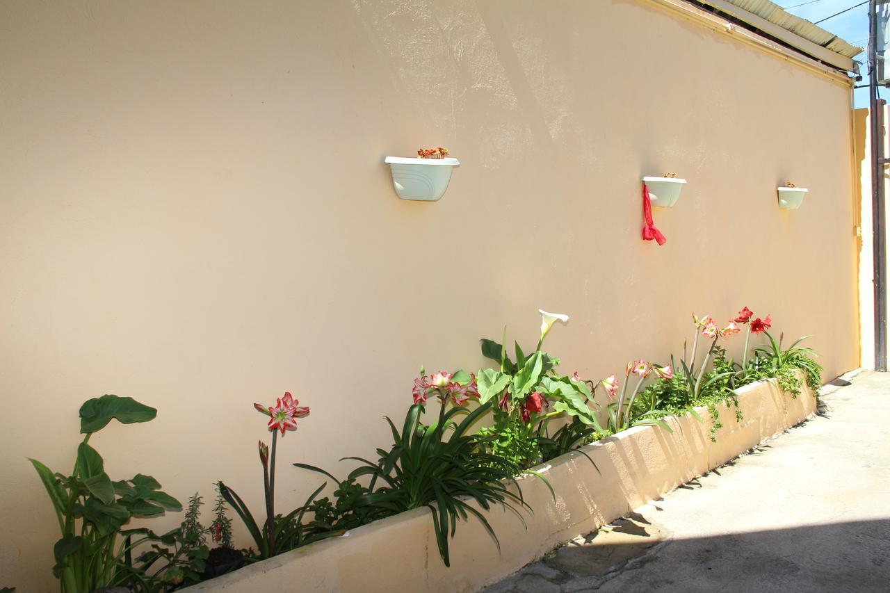 Hotel Valle Nuevo 孔斯坦萨 外观 照片